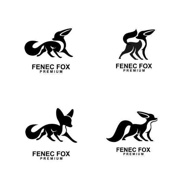 феннек фокс иконка дизайн иллюстрация негатив черный белый - silhouette animal desert fox stock illustrations