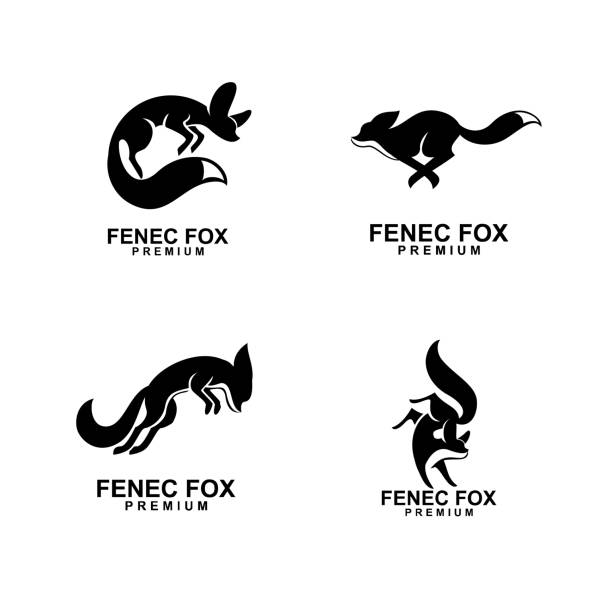 феннек фокс иконка дизайн иллюстрация негатив черный белый - silhouette animal desert fox stock illustrations