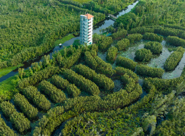 aerial photo of tan lap wetland eco-tourism area, long an province - river aerial view delta rainforest imagens e fotografias de stock