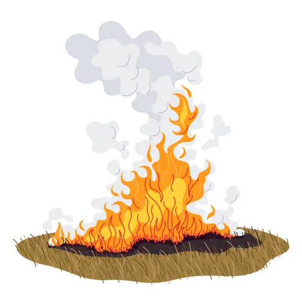 Vector illustration of Field with Burning Dry Grass, Wild Fire