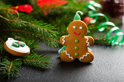 Merry Christmas composition with gingerbread man and green branches