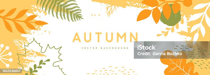 istock Autumn background with simple floral elements and autumn leaves. Leaf fall. Vector illustration 1652536647