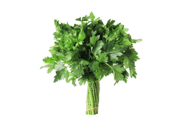 istock bunch of fresh parsley isolated on white background 1652550537