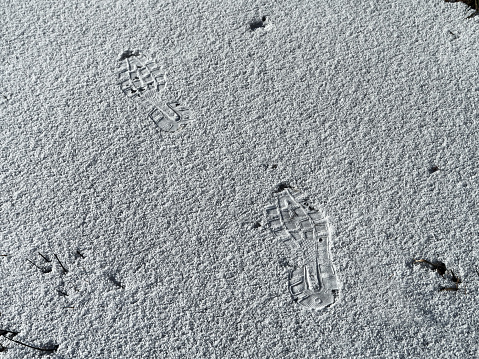 The first snow fell on the ground, someone left footprints on a thin layer of fresh snow