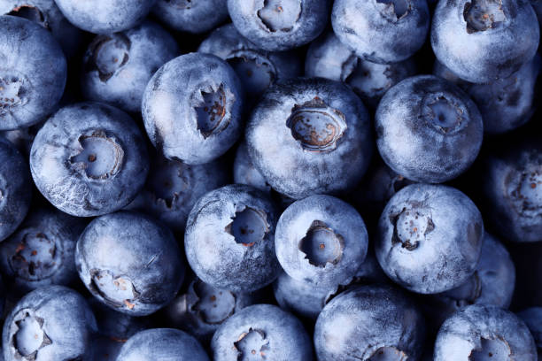 istock Blueberries closeup as background. Top view. Print 1652552251