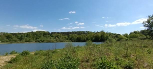 istock A calm lake with a dense forest and a blue sky with scattered white cumulus clouds 1652553345