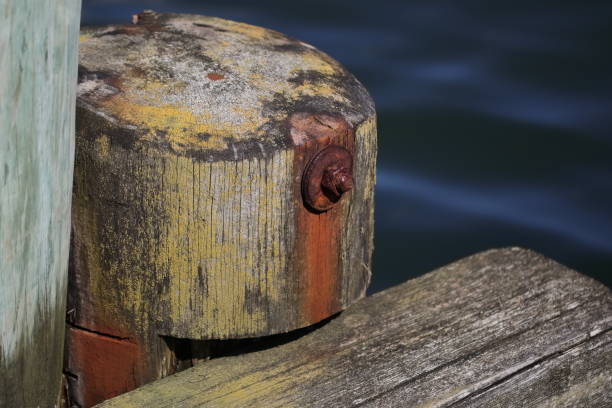 istock Rusty screw in a wooden pole 1652555614