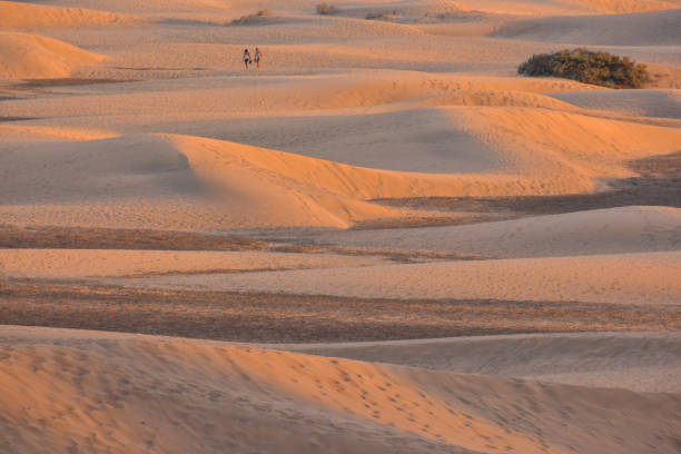 istock Desert with sand dunes in Gran Canaria Spain 1652578713