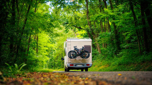 Autocaravana en el bosque: viaje, aventura, concepto de viaje por carretera - foto de stock