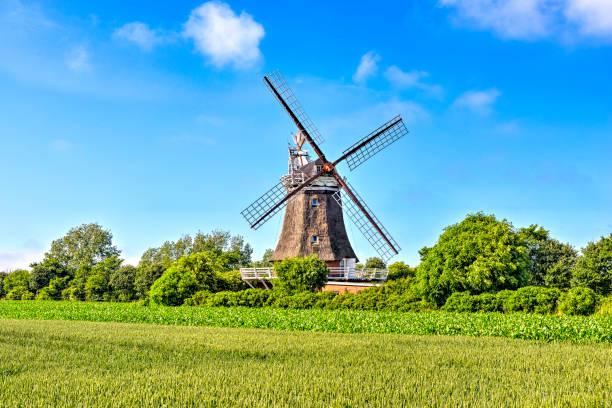 An old thatched windmill in the greenery with blue almost cloudless sky in summer when the weather is fine