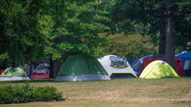 istock Homeless in City Park 1652580542