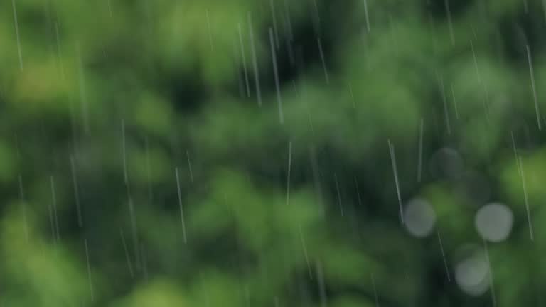 Rain, Tree, Weather, Forest, Nature,

Rain, Multiple Exposure, Torrential Rain, Loopable Elements