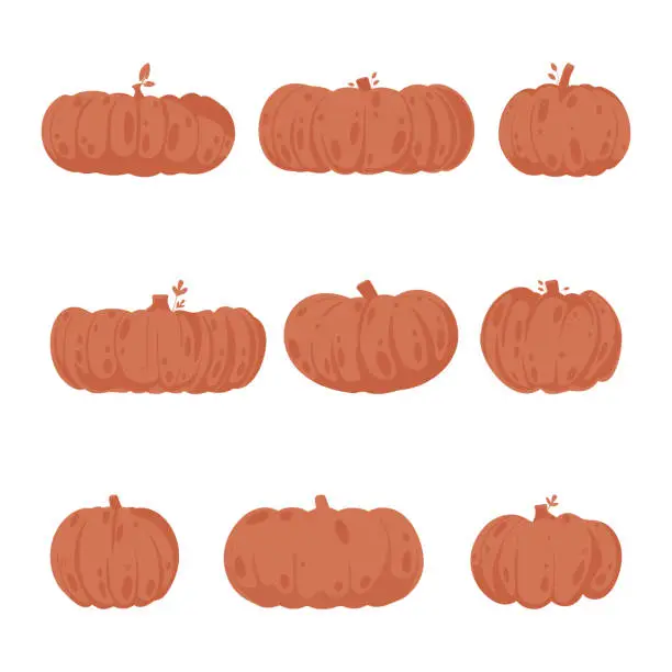 Vector illustration of A large group of pumpkins for the fall season in the color orange. Cartoon style.