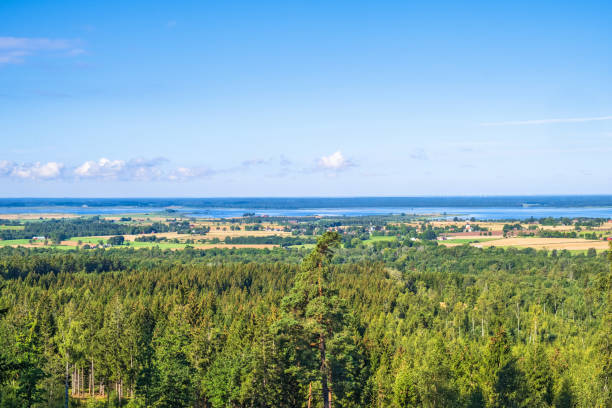 istock Awesome landscape view at a forest and the countryside 1652622526
