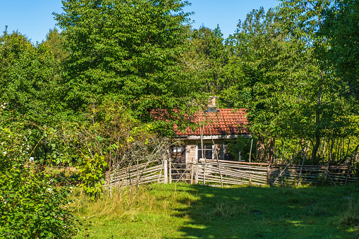 Idyllic old cottage with a wooden fence in a deciduous forest