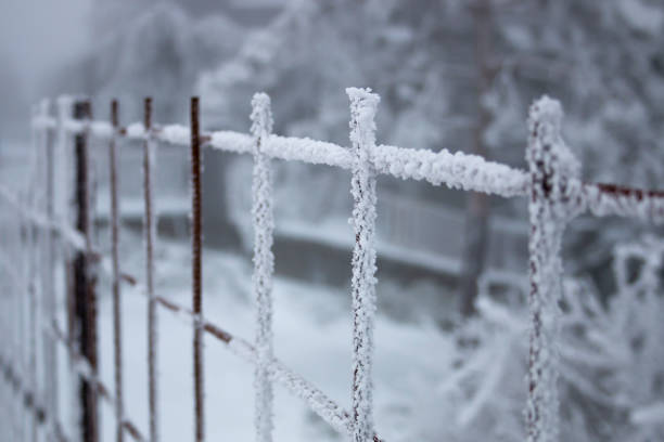 Effects of low temperatures, ice and snow on frozen structures