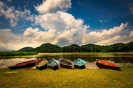 A fleet of small boats moored near Chandubi Lake, Kamrup, Assam, India