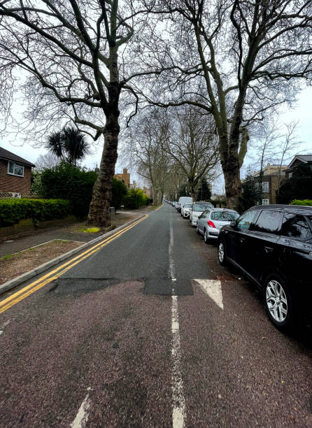 istock Cars parked tree lined street 1652641780