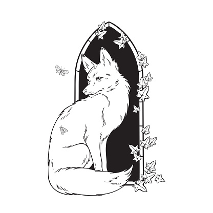 Kitsune fox wild life animal over gothic arch with ivy hand drawn line art gothic tattoo design isolated vector illustration.