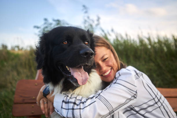 istock Joyful Czech Mountain Dog with pet owner 1652669143