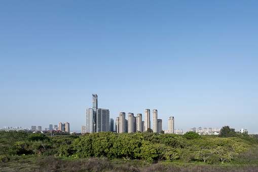 Modern urban high-rise buildings with lush greenery