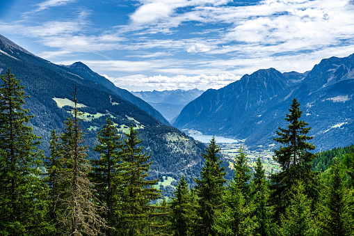 A tranquil scene, dense evergreens with a alps behind them and a lake in between the mountains. The sky is blue with billowing clouds