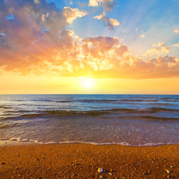 istock sandy sea beach at the dramatic sunset 1652718660