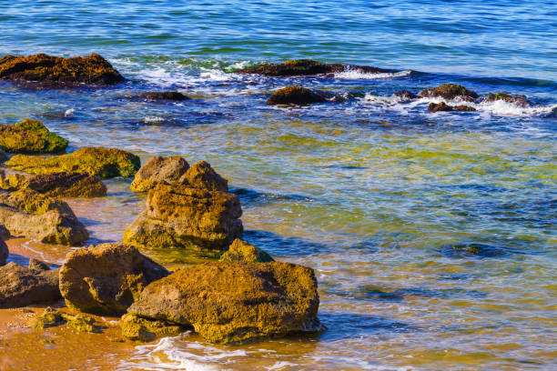emerald sea bay with stones on coast