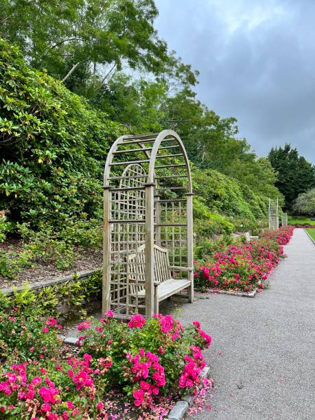 istock Bench in flower garden 1652756835
