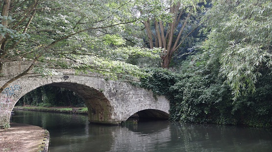 A scenic view of a stone bridge arching over a river in a tranquil, lush forest