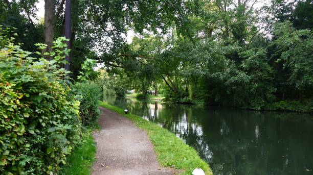 istock Scenic pathway with lush greenery, winding along a tranquil pond 1652803114