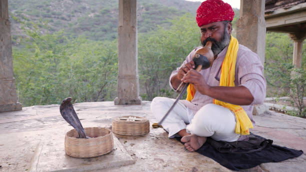 istock Indian snake charmer, Jaipur, Rajasthan 1652826192