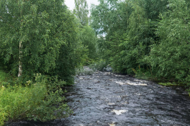 istock fast mountain river between wooded banks 1652837501