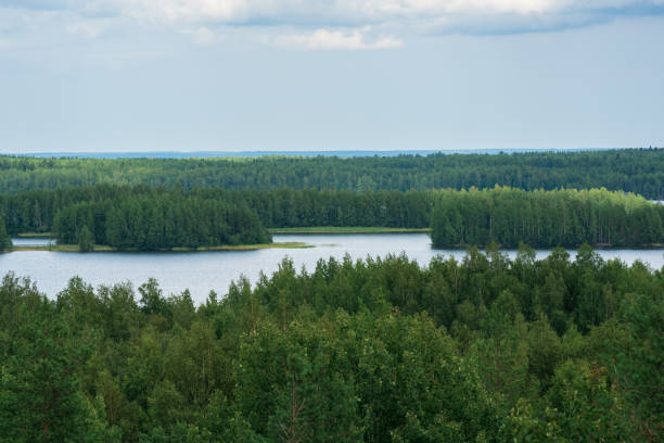 istock natural landscape with forest and lakes, aerial view 1652838090