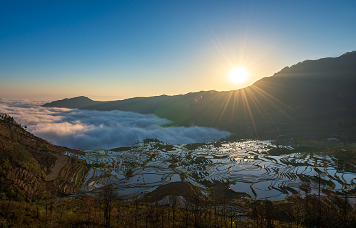 Yuanyang rice terrace at sunrise, Yunnan, China