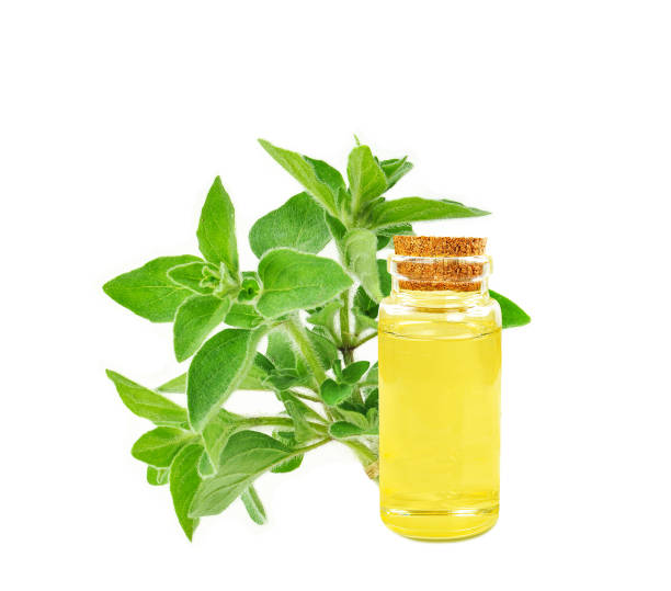 istock oregano oil 1652884862