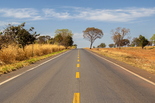 Catalão, Goias, Brazil – August 11, 2023: Paved stretch of the BR-352 highway in Goias, in the middle of typical cerrado vegetation.