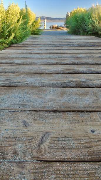 sandy wooden boardwalk planks lead to the iconic white tufa towers of mono lake. - mono county imagens e fotografias de stock