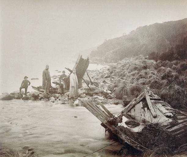 istock New Zealand, sub-antarctic islands, shipwrecked, 1888 1652919665