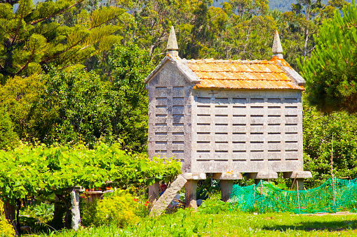 Stone hórreo, agricultural fields, green background in Rías Baixas, Galicia, Spain