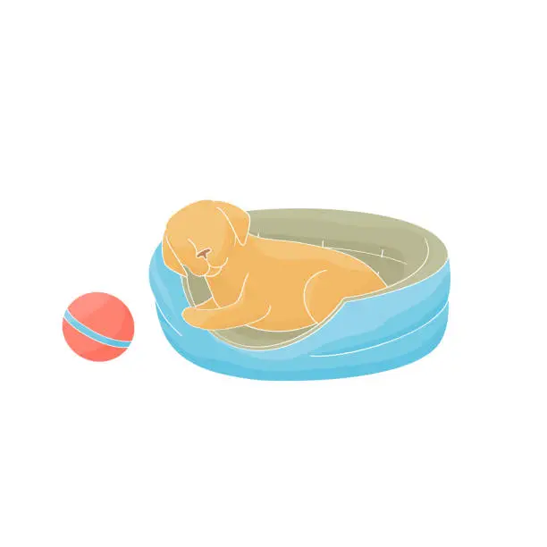 Vector illustration of puppy lying on a dog bed