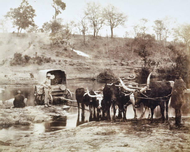 istock Zambezi river, Crossing of a ford, 1892 1653004343