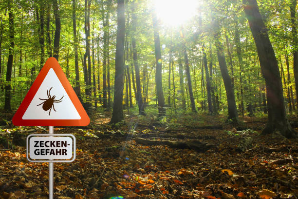 istock Tick insect warning sign . Lyme disease and tick-borne meningitis (meningoencephalitis) transmitter 1653023642