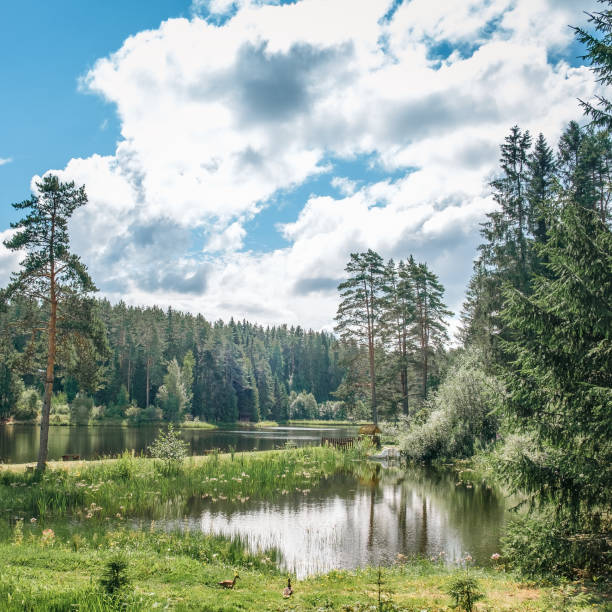istock Beautiful forest lake in Russia. 1653035241