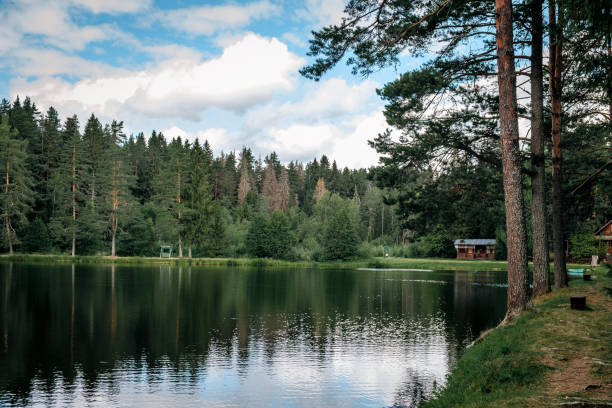 istock Beautiful forest lake in Russia. 1653035305
