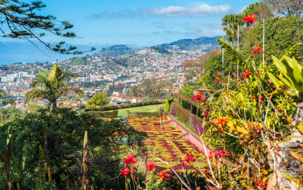Landscape with Funchal, Madeira island, Portugal