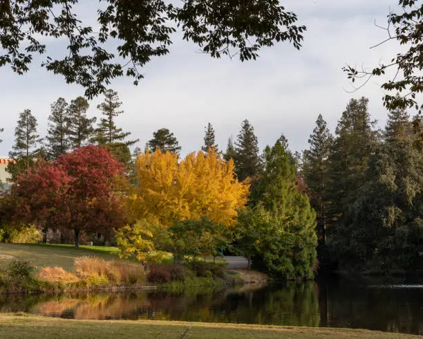 Photo of Autumn at UC Davis east end and lake