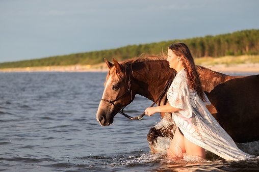 A female standing in shallow water near her majestic brown horse