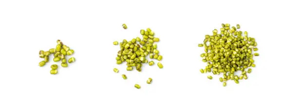 Photo of Soaked Mung Beans, Wet Vigna Radiata Seeds Pile, Macro Photo of Green Gram in Water