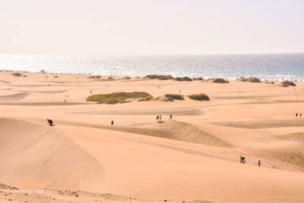 istock Dry Desert Landscape in Maspalomas Gran Canaria Canary Islands 1653120666